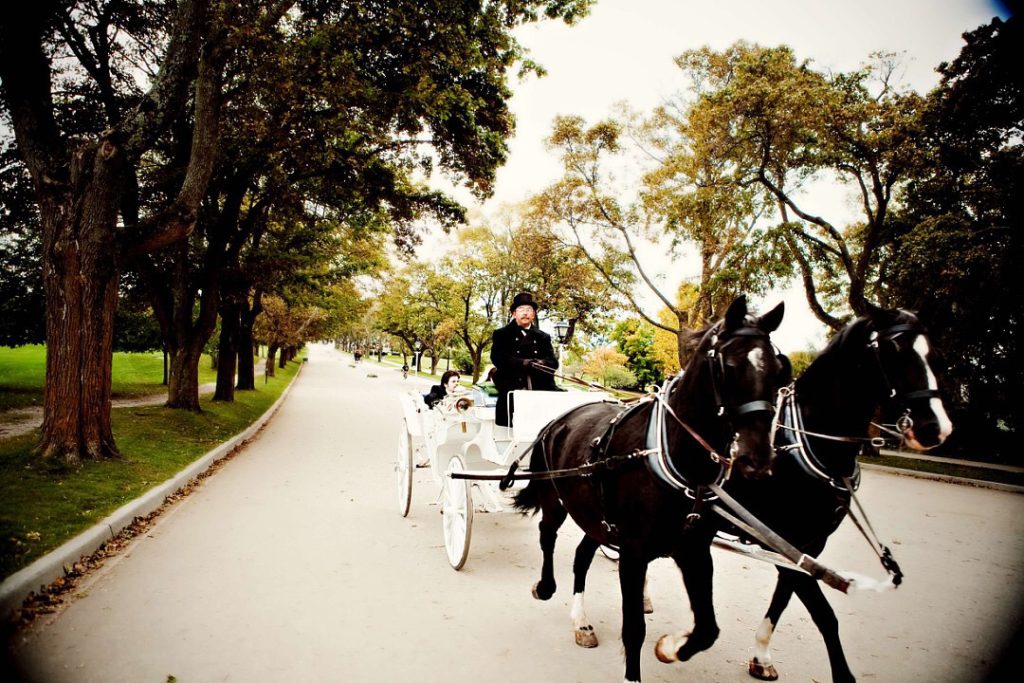 Mackinac Island Wedding