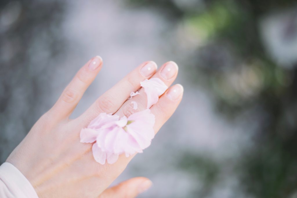 spring blooms