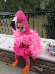 baby flamingo costume