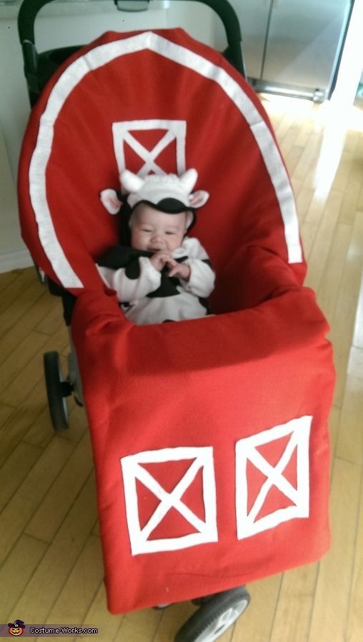 baby cow and farm costume
