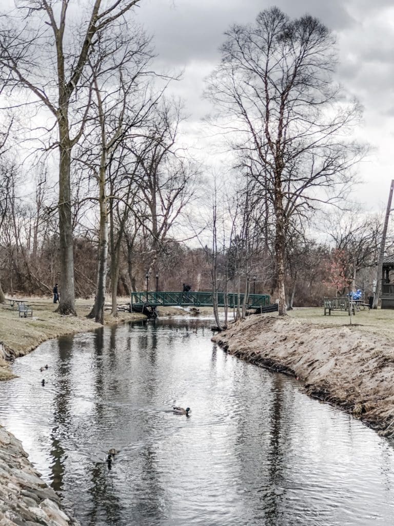 How & Where To Celebrate Saint Patrick's Day In Michigan | The Coziest Restaurant In Metro Detroit