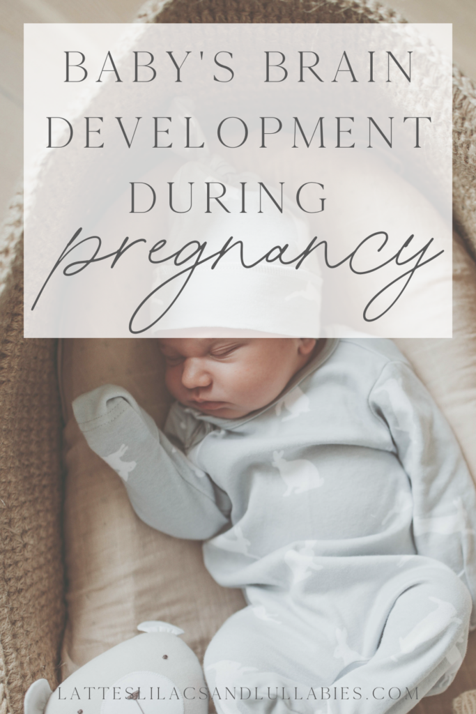 Baby's Brain Development