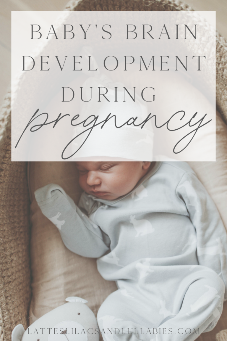 Baby Brain Development During Pregnancy - Lattes, Lilacs, & Lullabies