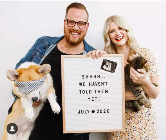don't tell the pets pregnancy announcement